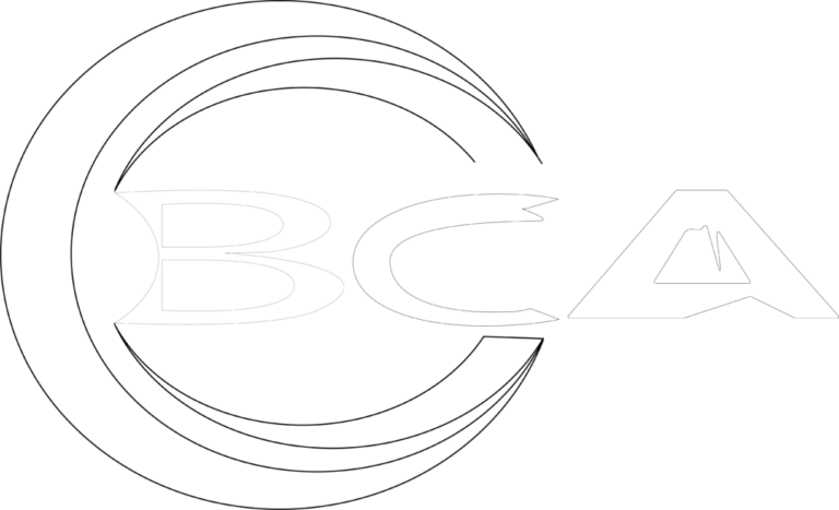 Logo Boost Creator Agency